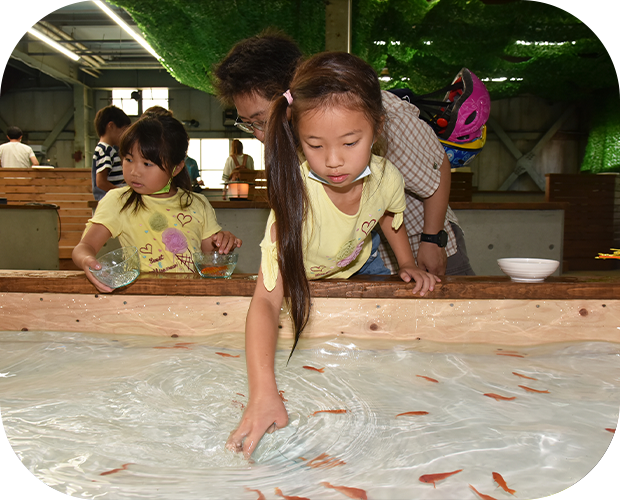 大人から子どもまで満足できる天気の影響を受けない釣り施設